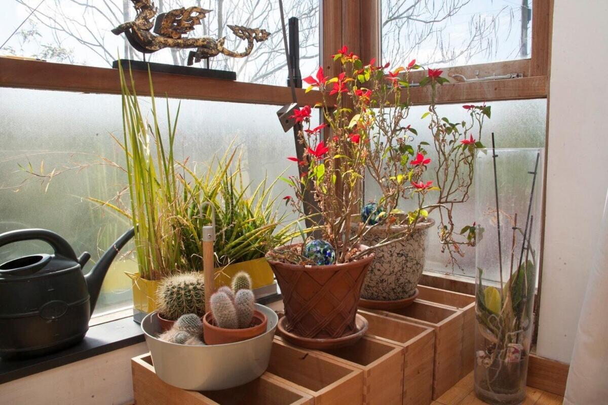 ※ Relaxing Home- Parking & Gorgeous Gardens Bath Buitenkant foto
